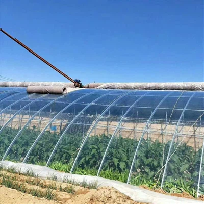 Cosa considerare quando si acquista una pellicola trasparente per l'effetto s...